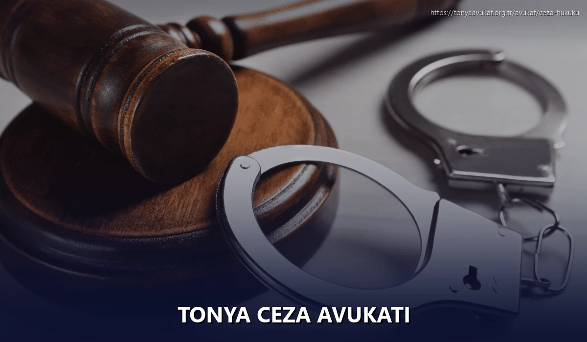 Tonya Ceza Avukatı